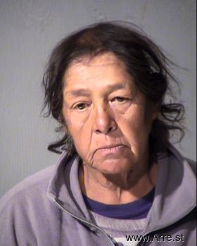 Darlene Faye Martinez Mugshot