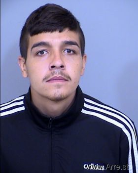 David  Arellanocoronel Mugshot