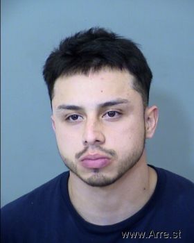 David Cesar Delgado Mugshot