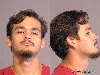 David Gabriel Guerrero Mugshot