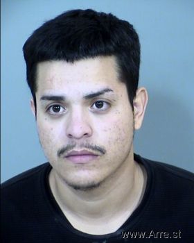 David  Meza Mendivil Mugshot