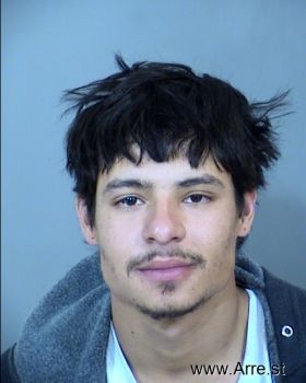 David Anthony Ortega Mugshot