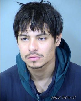 David Anthony Ortega Mugshot