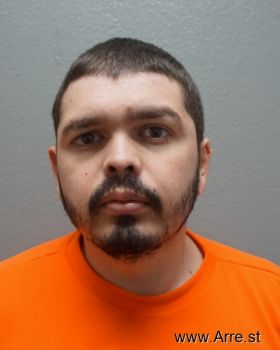 David . Perez Mugshot