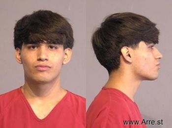 David Jr Ruiz-martinez Mugshot