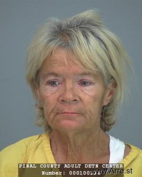 Dawn Toponce Johnson Mugshot