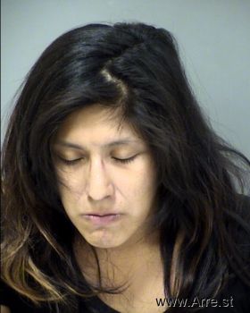 Denise Michelle Gonzalez Mugshot