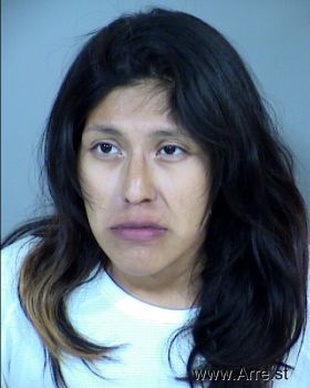 Denise Michelle Gonzalez Mugshot