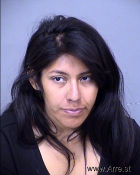 Denise Michelle Gonzalez Mugshot