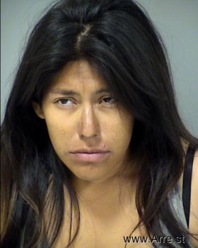 Denise Michelle Gonzalez Mugshot