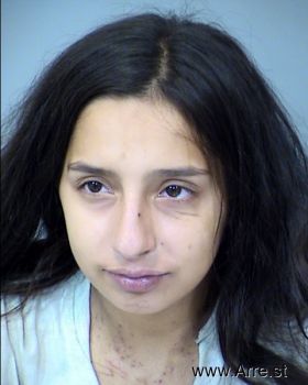 Desiree  Ortiz Mugshot