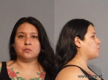 Diana Marie Anaya Mugshot