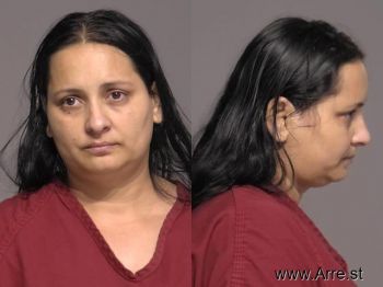 Diana  Avram Mugshot