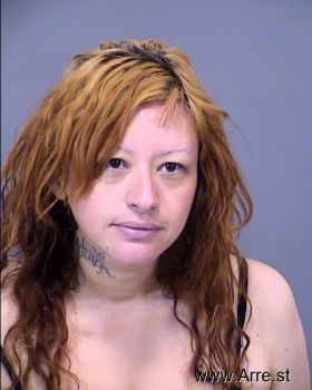 Diana Patricia Garcia Castro Mugshot