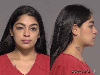 Diana Laura Pineda Mugshot