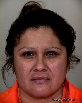 Diana  Portillo Mugshot