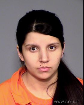 Diana  Romero Mugshot