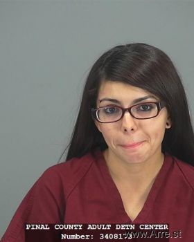 Diana  Sanchez Mugshot