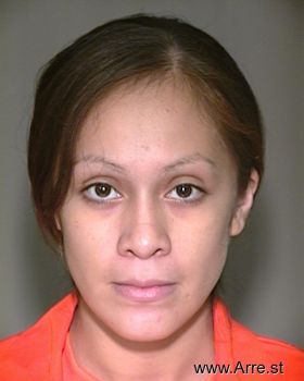 Diana  Sanchez-alvarado Mugshot