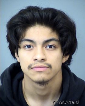 Diego  Mendoza Demarbieu Mugshot