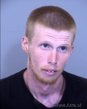 Dillon Anderson Cox Mugshot