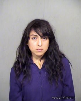 Erica Nereida Garcia Mugshot