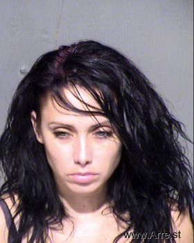 Erin Michelle Cooper Mugshot