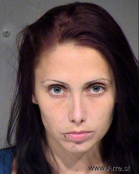 Erin Michele Cooper Mugshot