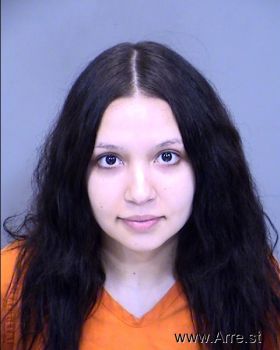 Elena Marie Chavez Mugshot