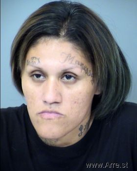 Elisa Lorena Lugo Mugshot