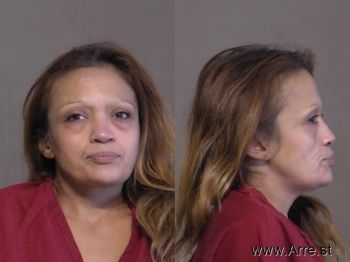 Elisa  Sandoval Mugshot