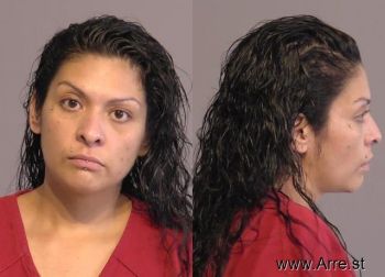 Elizabeth Andrea Herrera Mugshot