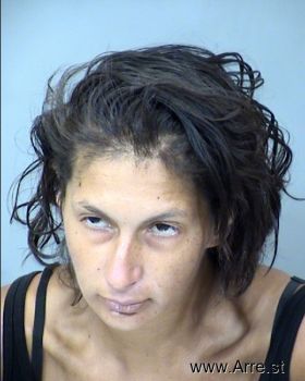 Elizabeth Ashley Romero Willmes Mugshot