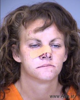 Erica Renee Mcdonald Mugshot