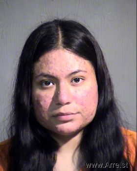 Erica  Vasquez Mugshot