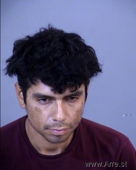 Erick  Alvarez Mugshot