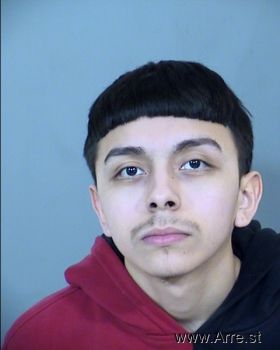 Erick  Sanchez Mugshot