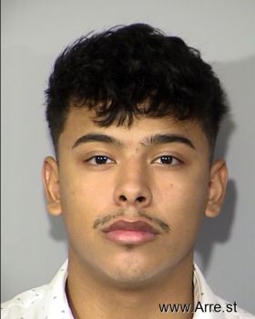 Erick  Vasquez Maravilla Mugshot