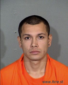 Erik J Aleman Mugshot