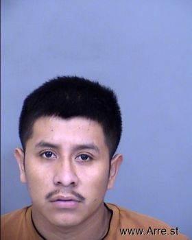 Erik  Perez Estena Mugshot