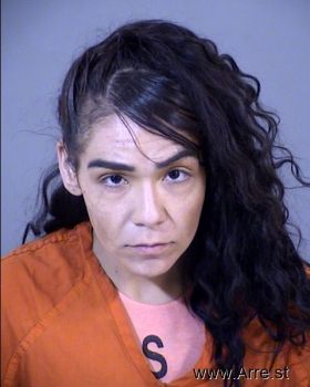 Erika Maritza Martinez-santa Cr Mugshot