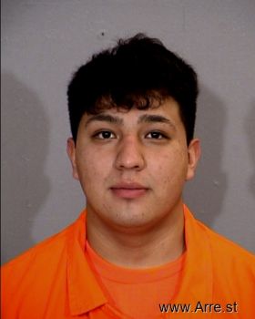 Ernesto  Villegas Mugshot