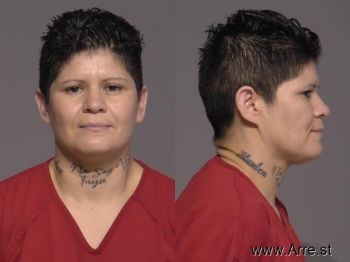 Evelyn Santana Martinez Mugshot