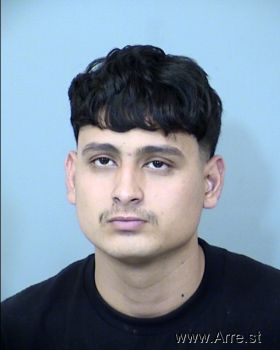 Fabian R Alcantar-martinez Mugshot