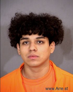 Fabian  Gonzalez Mugshot