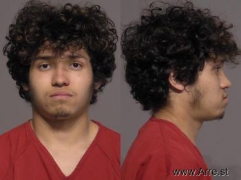 Fernando  Flores Garibay Mugshot