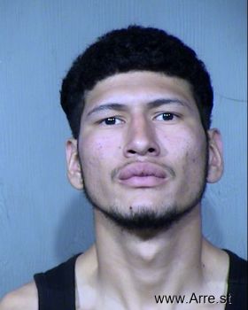 Fernando Ibarra Martinez Mugshot