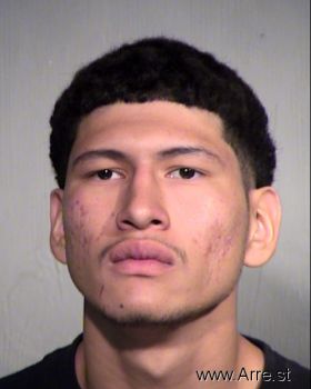 Fernando Ibarra Martinez Mugshot