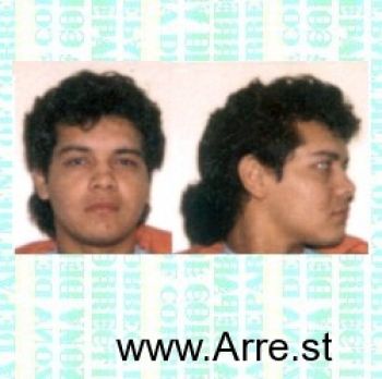 Fernando  Ramirez Mugshot