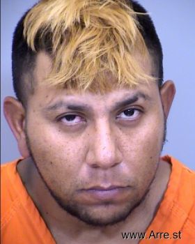 Fernando  Rosales Mugshot